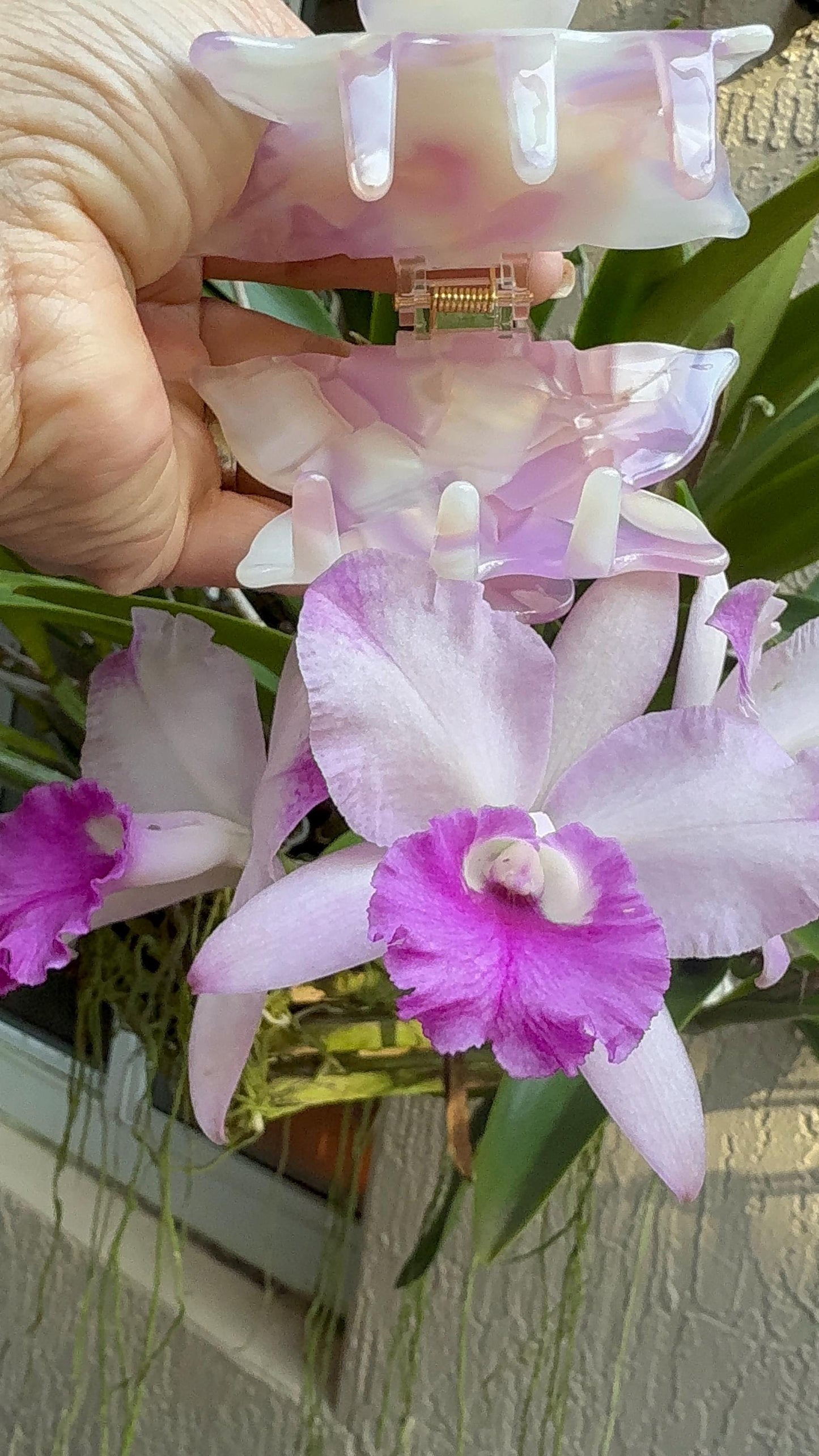 Orchid Hair Claw • Purple Orchid Hair Claw Clip • Wedding Hair Piece • Tropical Orchid Acetate Claw Clip