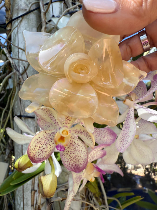 Orchid Hair Claw • Nude Orchid Hair Claw Clip • Wedding Hair Piece • Tropical Orchid Acetate Claw Clip