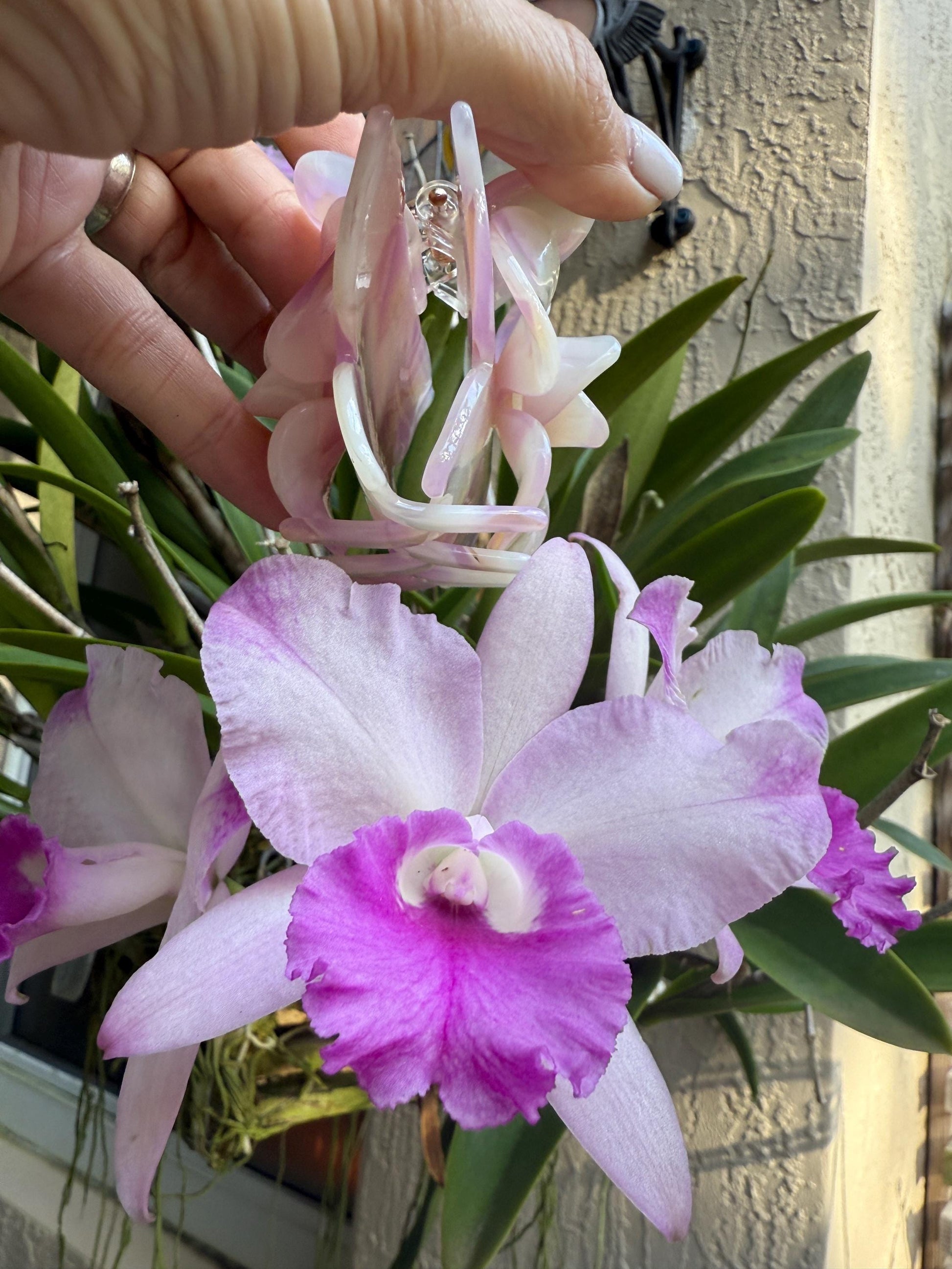 Orchid Hair Claw • Purple Orchid Hair Claw Clip • Wedding Hair Piece • Tropical Orchid Acetate Claw Clip