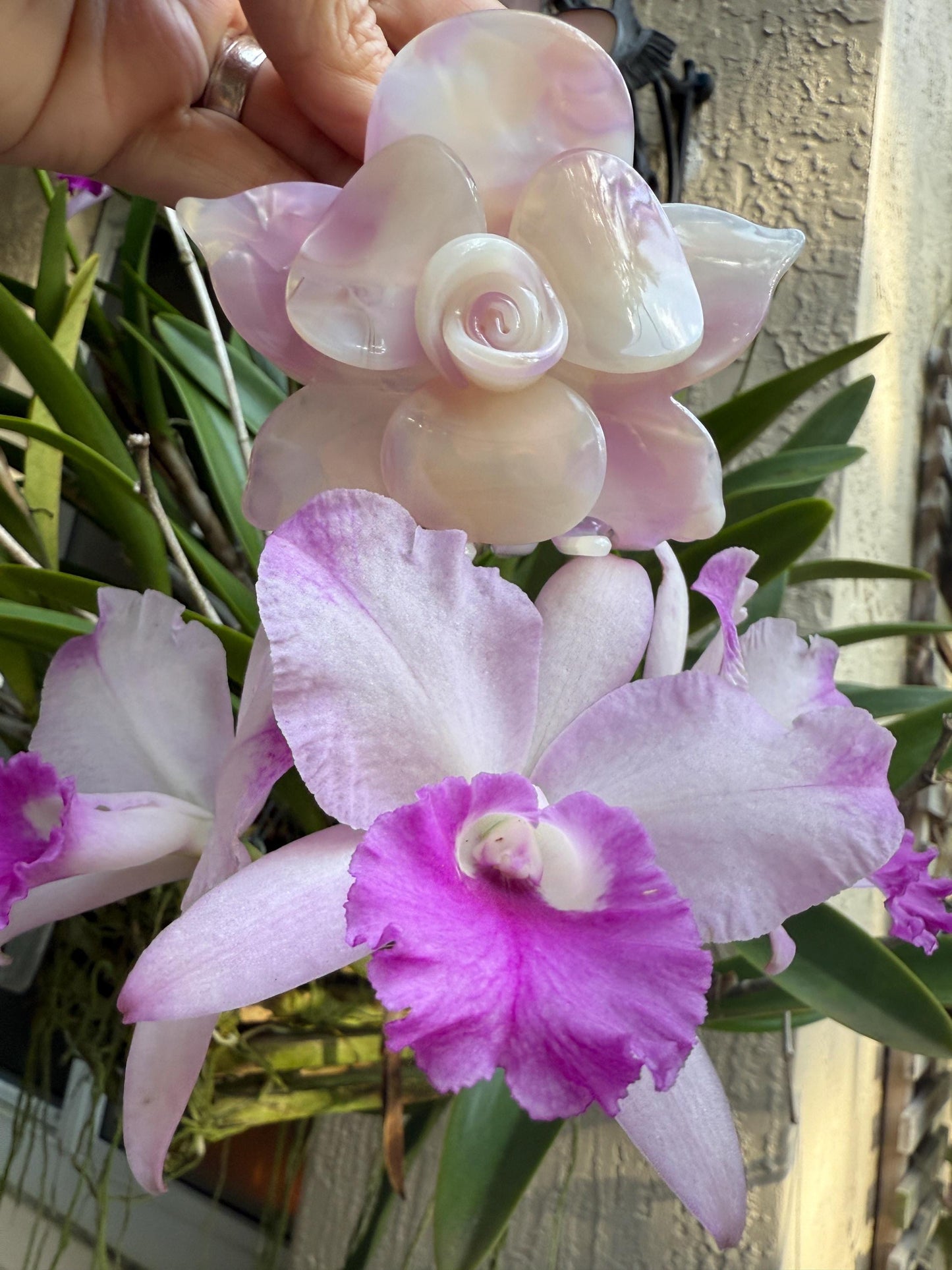 Orchid Hair Claw • Purple Orchid Hair Claw Clip • Wedding Hair Piece • Tropical Orchid Acetate Claw Clip