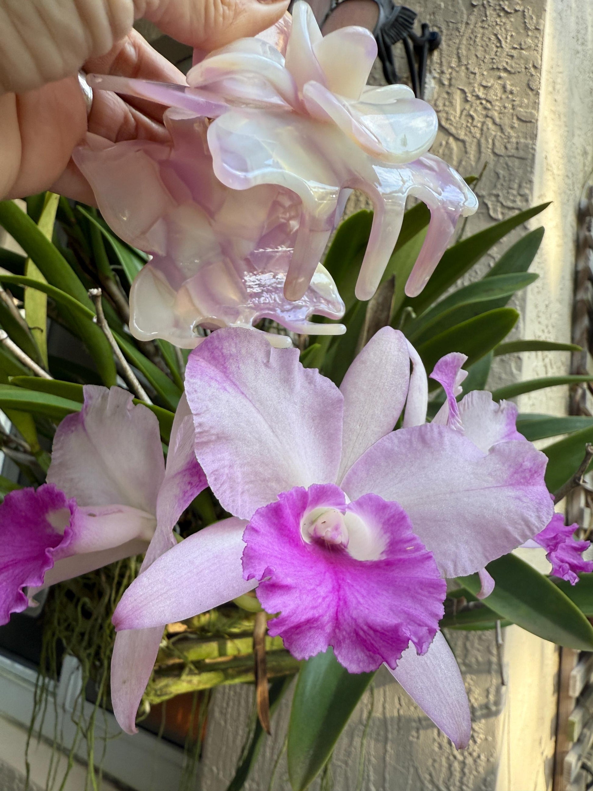 Orchid Hair Claw • Purple Orchid Hair Claw Clip • Wedding Hair Piece • Tropical Orchid Acetate Claw Clip