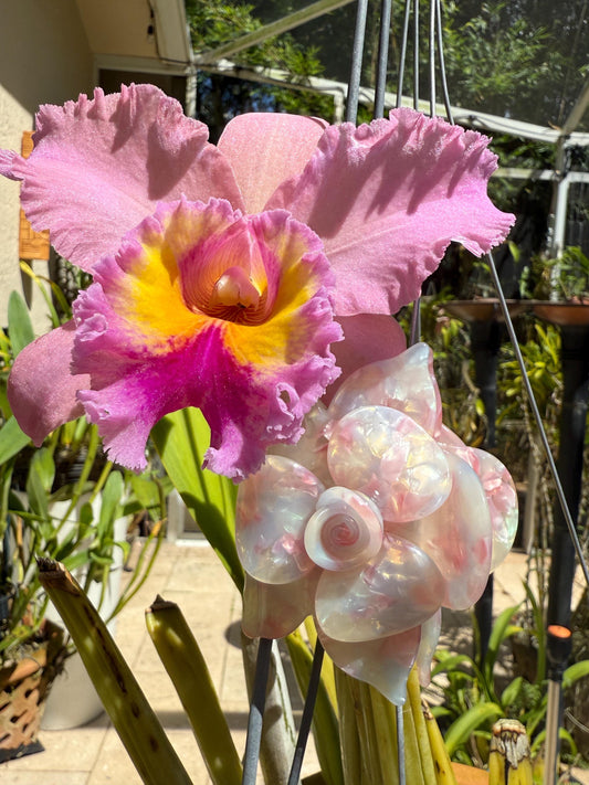 Orchid Hair Claw • Pink Iradesence Orchid Hair Claw Clip • Wedding Hair Piece • Tropical Orchid Acetate Claw Clip