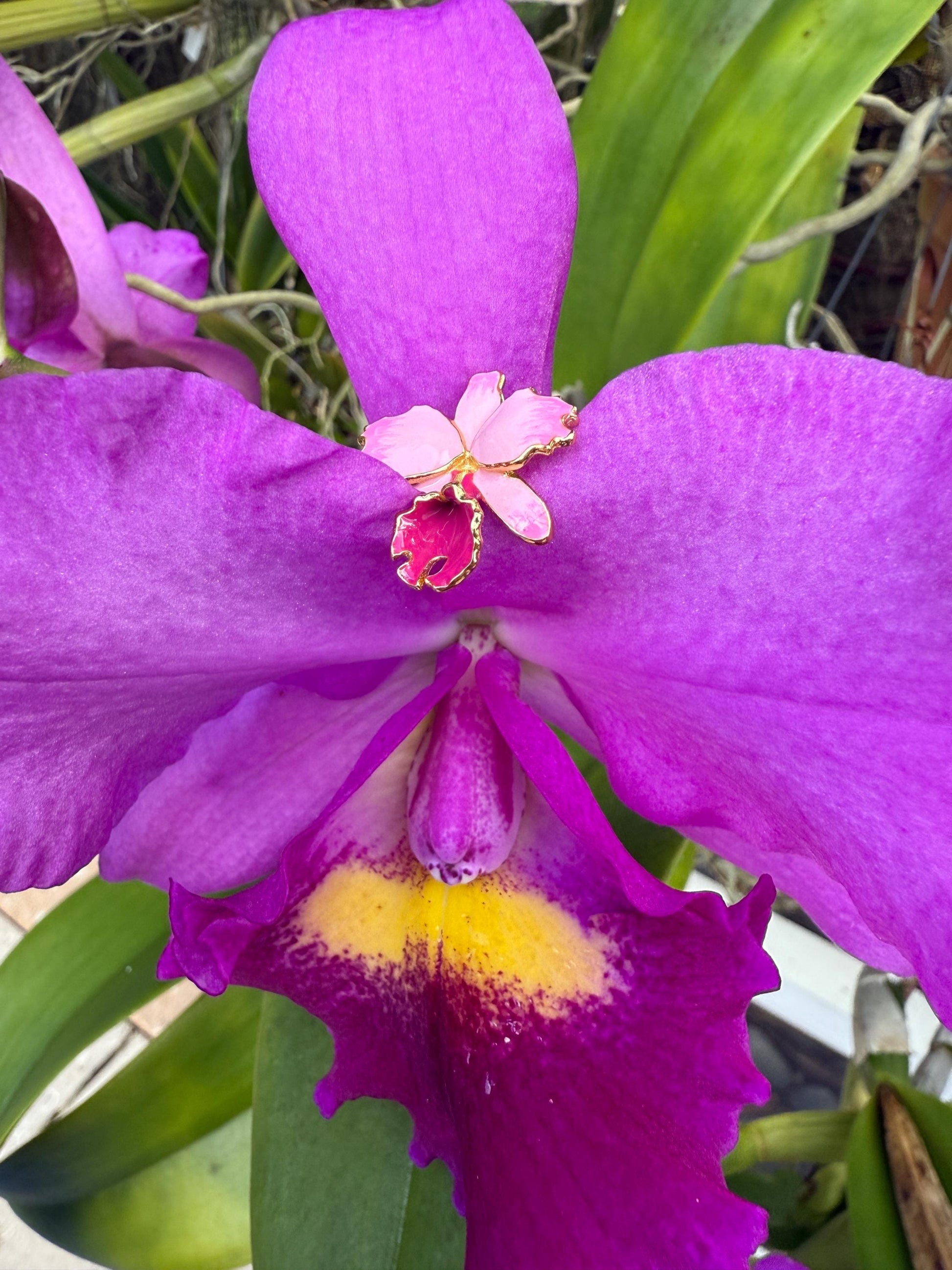 Pink Splash Cattleya Orchid Ring: Two-Tone S925 Sterling Silver