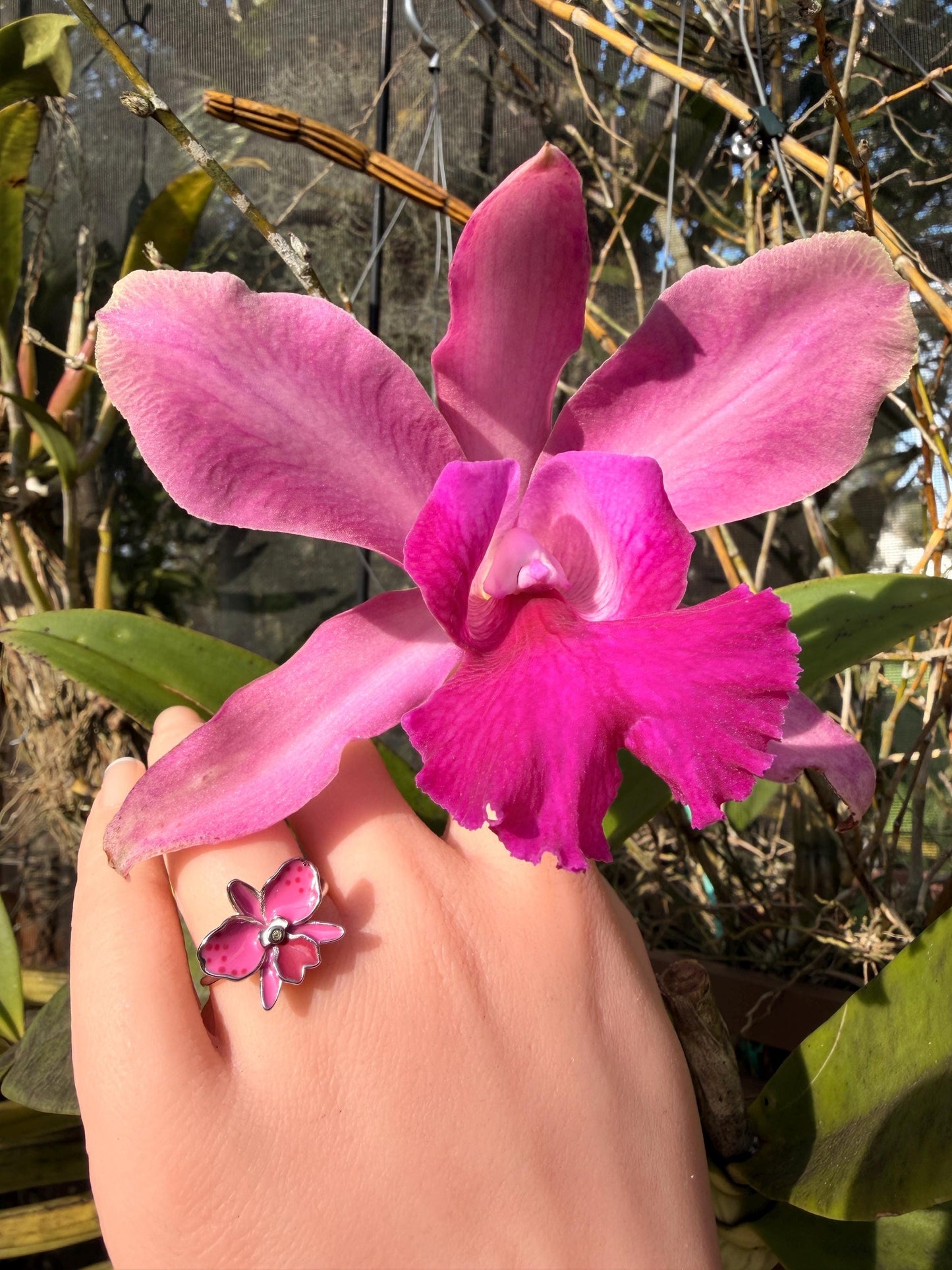 Sophrolaeliocattleya Pink Orchid Jewelry • Convertible Choker Necklace, Studs, & Adjustable Ring • Mix and Match Set