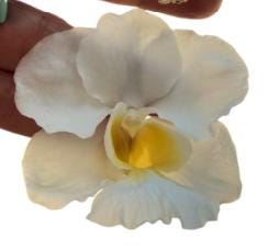 vanda orchid necklace, white and yellow enamel, 14K gold plated sterling silver, eleventh view – Orchidique