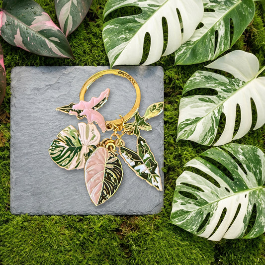 Variegated leaf keychain on slate and moss with foliage
