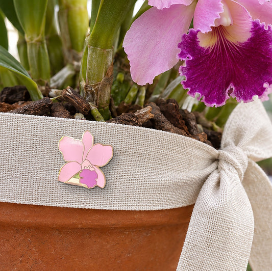 Light pink Lueddemannia orchid enamel pin with orchid-purple lip on a linen ribbon tied around a terracotta orchid gift pot with pink Cattleya blooms