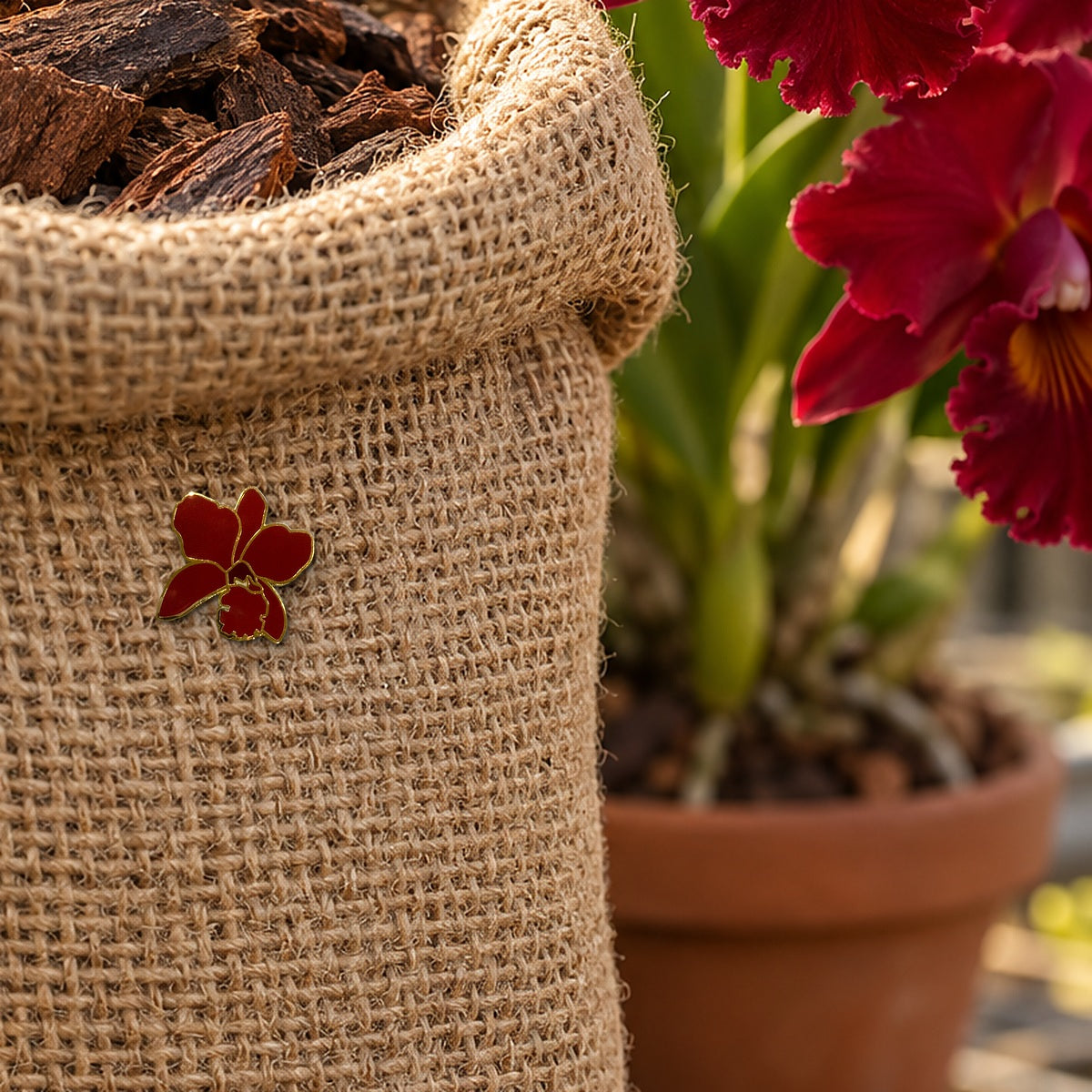 Deep red Lueddemannia orchid enamel pin with gold outline on a burlap sack of orchid bark mix beside crimson Cattleya blooms