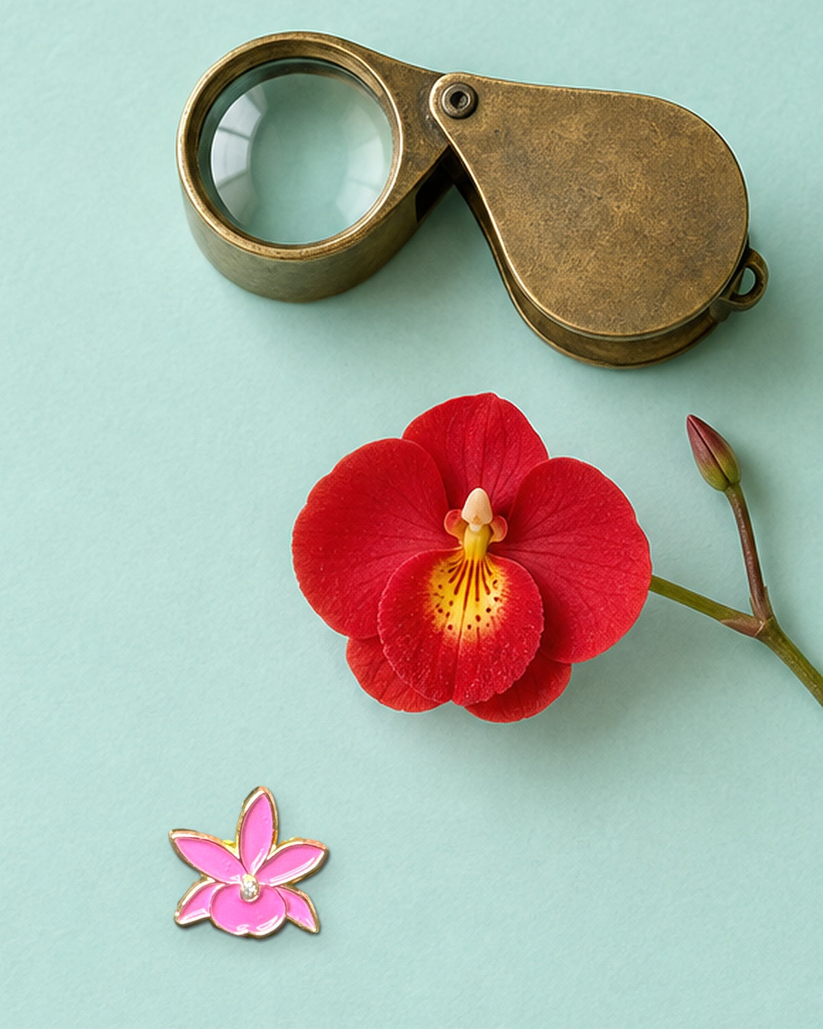 Fuchsia mini Broughtonia enamel pin on seafoam paper beside a brass collector loupe and a fresh red orchid bloom