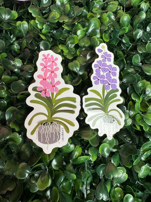 Mokara Orchid Stickers (2.5") • Waterproof Vinyl Stickers • Laptop Stickers • Water Bottle Stickers • Flower Stickers • Orchidique™ - Orchidique