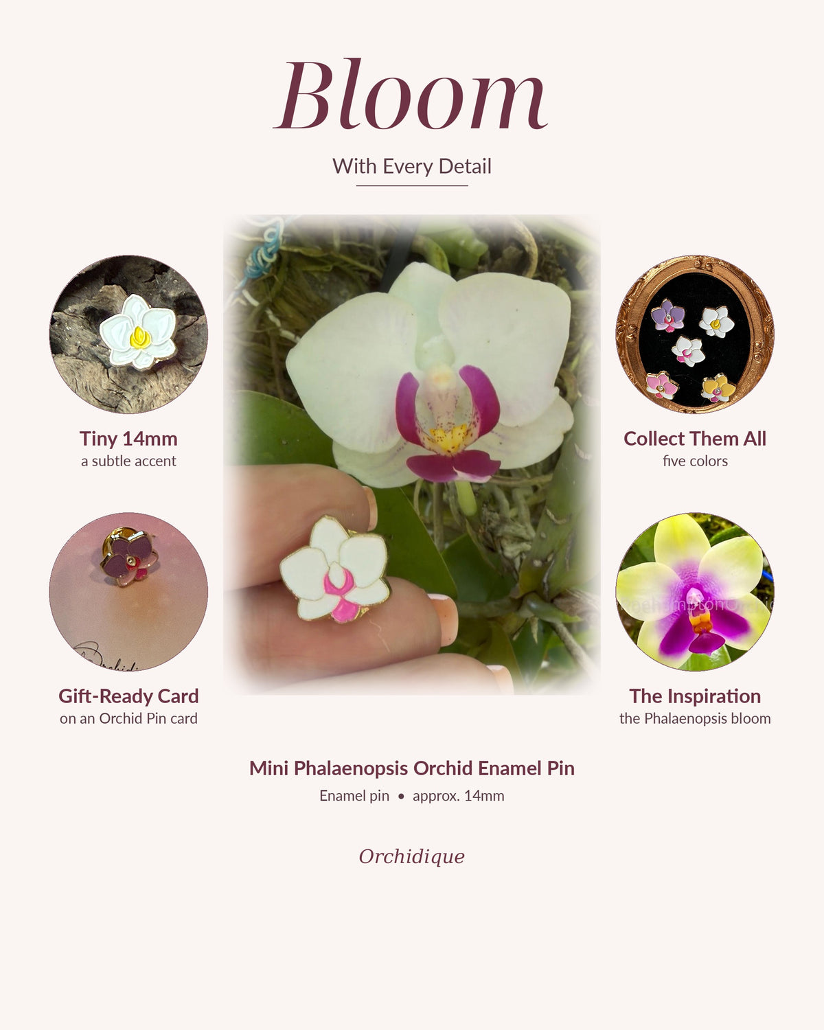 Mini Phalaenopsis orchid enamel pin, Bloom With Every Detail
