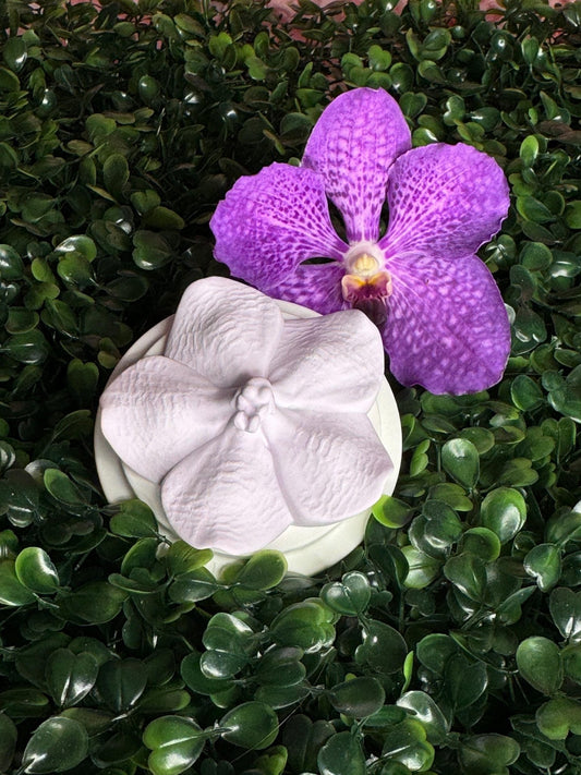 Orchid Diffuser • Vanda Design • Ceramic Stone • Essential Oil Room Diffusrt • Home Fragrance • Personalized Gift - Orchidique