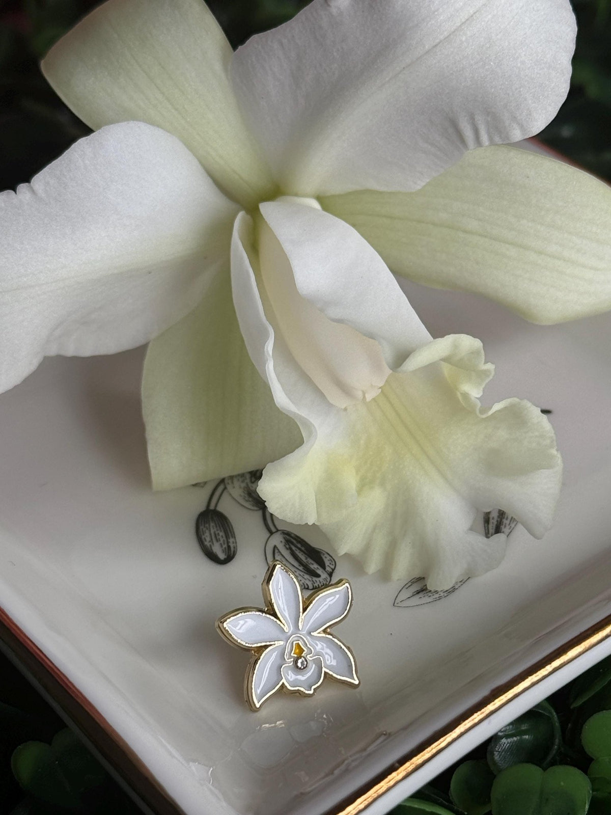 cattleya orchid watch band charm, white, gold-plated alloy – Orchidique