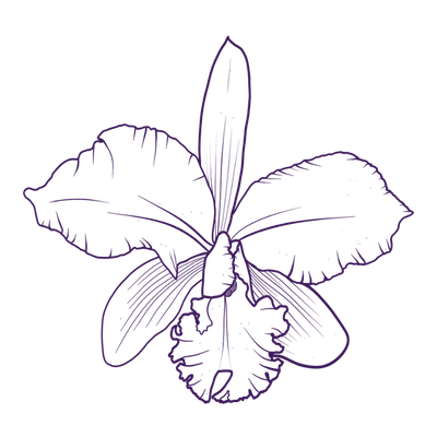 Orchidique