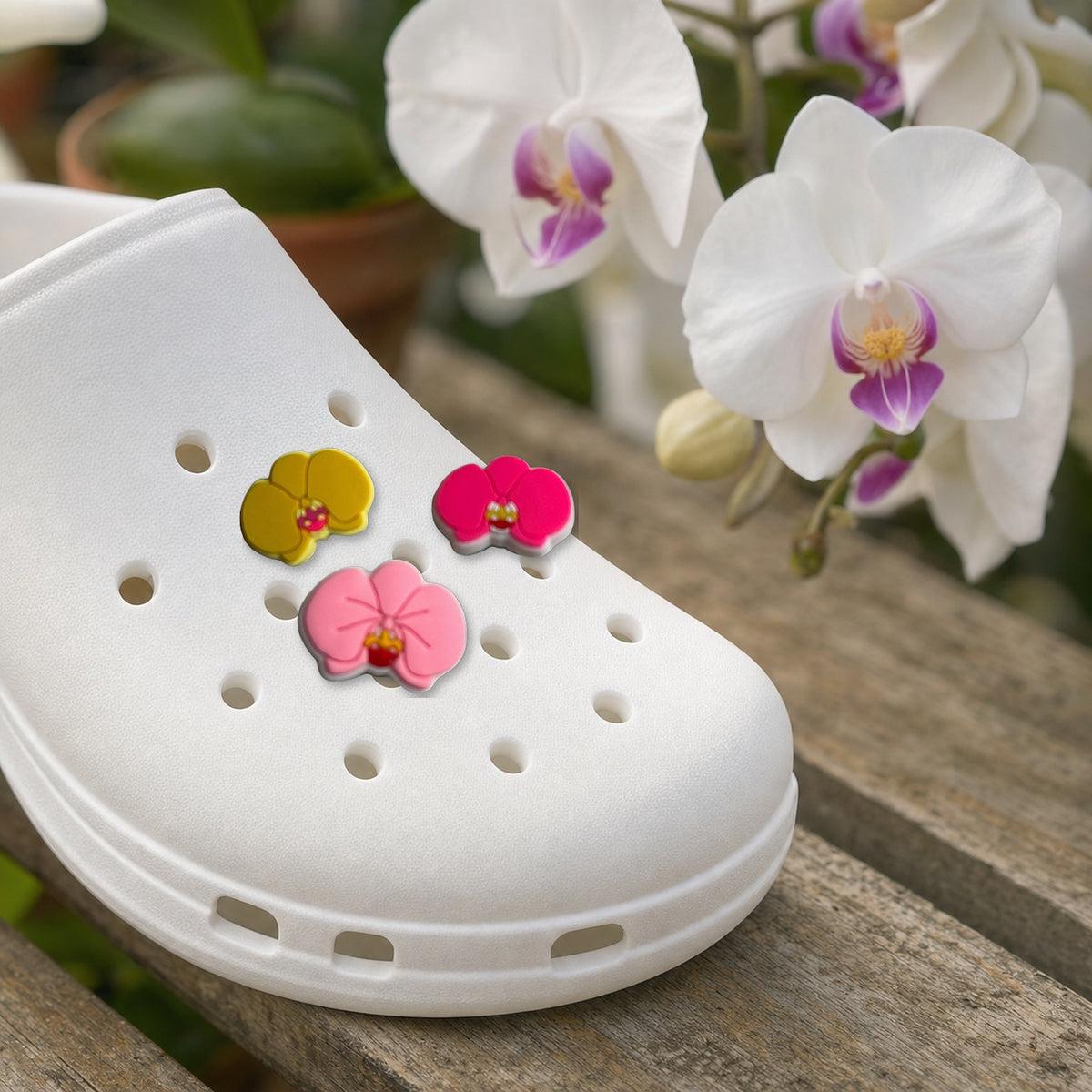 phalaenopsis orchid shoe charm, pvc – Orchidique