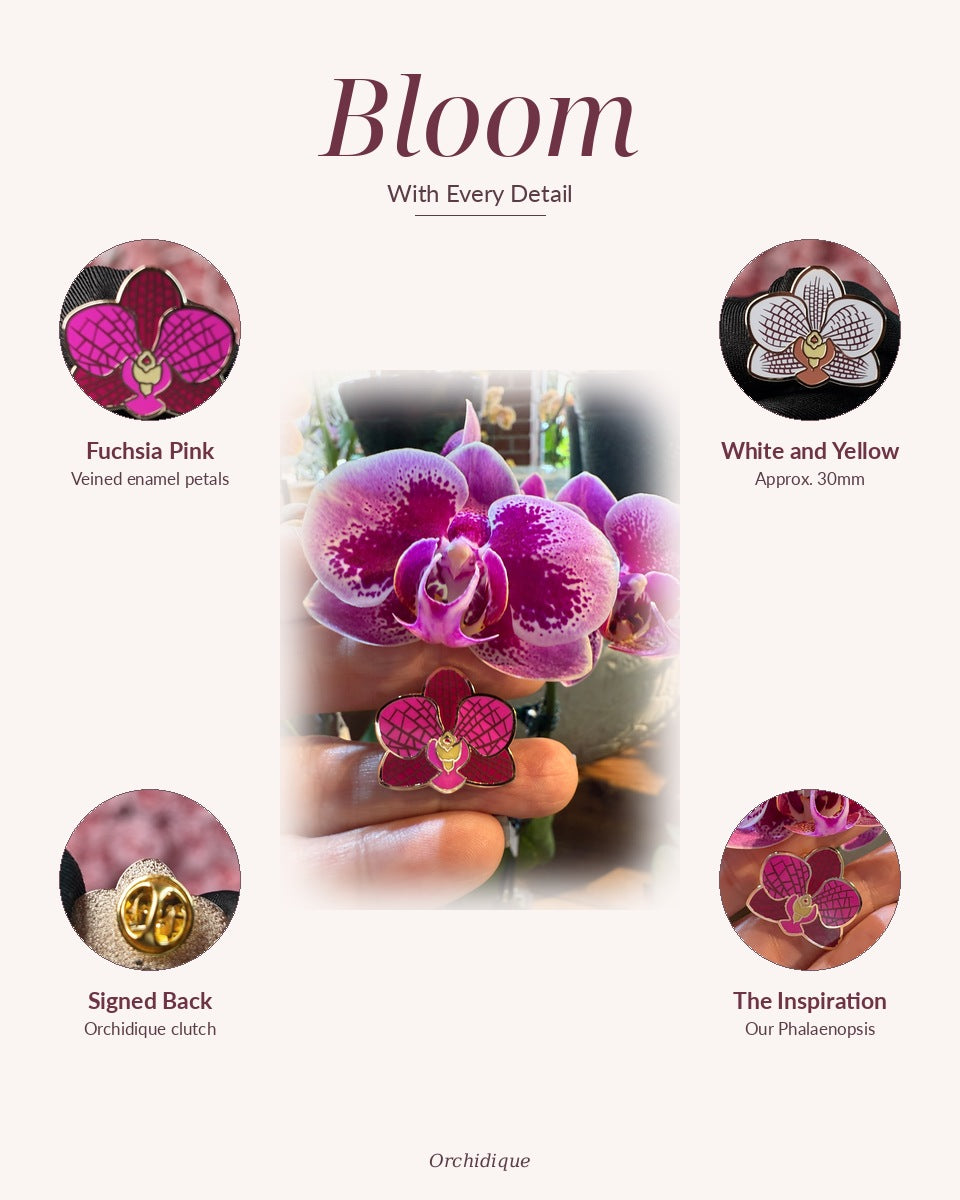 Phalaenopsis Orchid Enamel Pin — Bloom With Every Detail