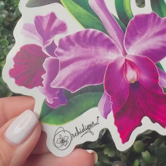 Orchid Brassolaeliocattleya BLC  Sticker  • Orchid Lover Gift