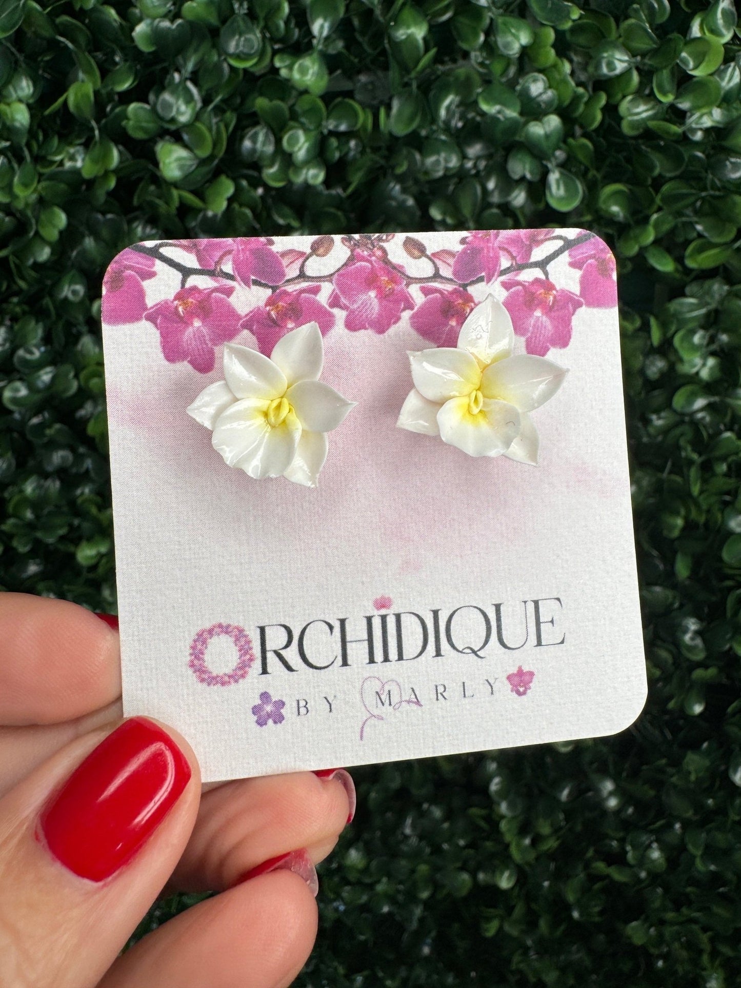 Whimsical Harmony: White & Yellow Cattleya Orchid Stud Earrings - Orchidique