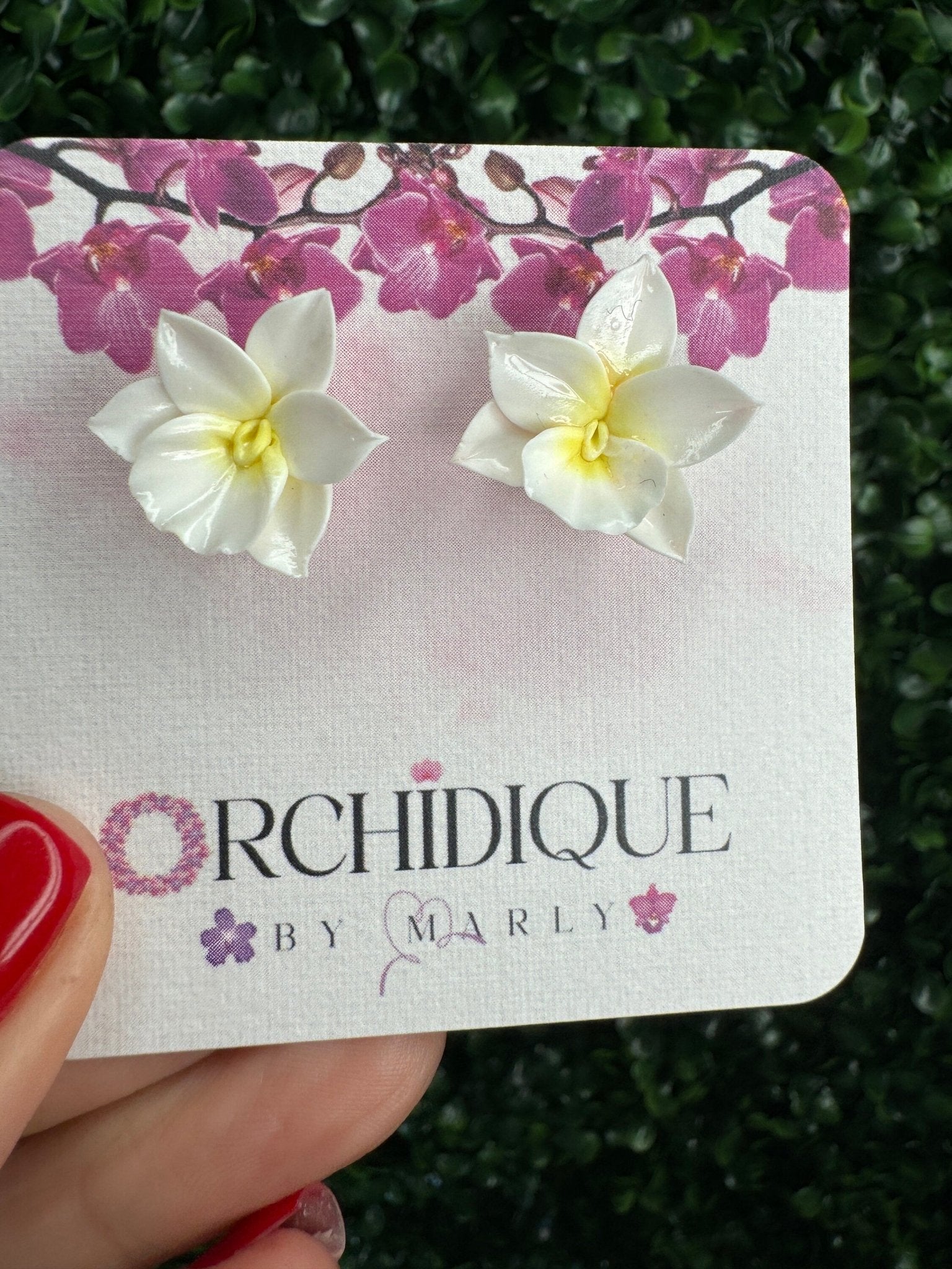 Whimsical Harmony: White & Yellow Cattleya Orchid Stud Earrings - Orchidique